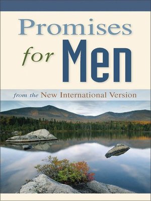 cover image of Promises for Men